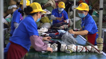 閑魚回收一萬噸舊衣服想干啥 它們再生成了大棚保溫被 環(huán)保袋和勞保手套